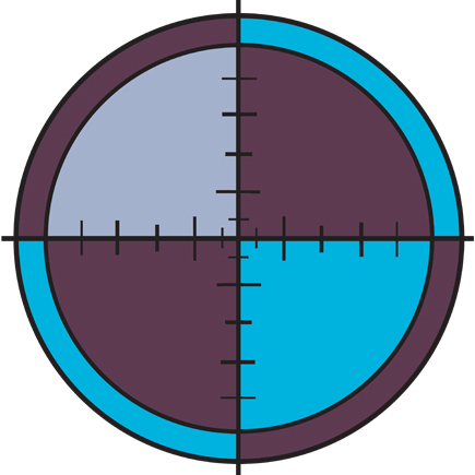 Growth Focus - Thumbnail