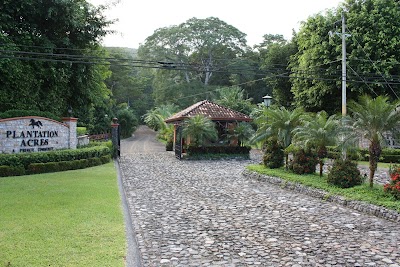 Photos of Plantation Acres by Century 21