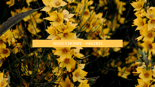 Siggi´s Hobby-Imkerei