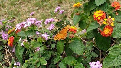 Photos of Nuevo F&aacute;tima Park