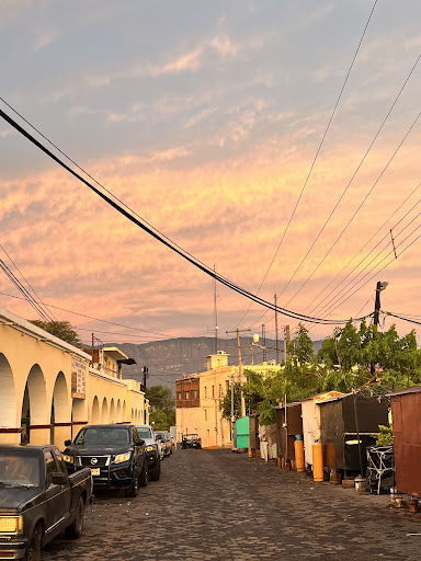 Zona Centro - Thumbnail