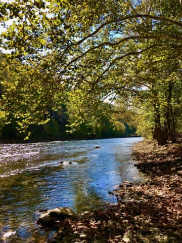 Elk Country Campground