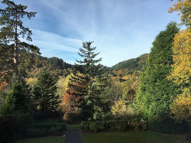 Tyn Y Fron Country House and Holiday Cottage by null