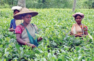 Photos of Legal Aid for Laborer, Bangladesh - শ্রমিকের জন্য আইনি সহায়তা, বাংলাদেশ