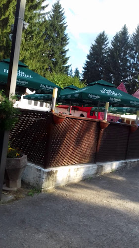 Opinii despre Restaurant Valea Zânelor Covasna - Kovásznai Tündérvölgy Étterem în Covasna - Cinema