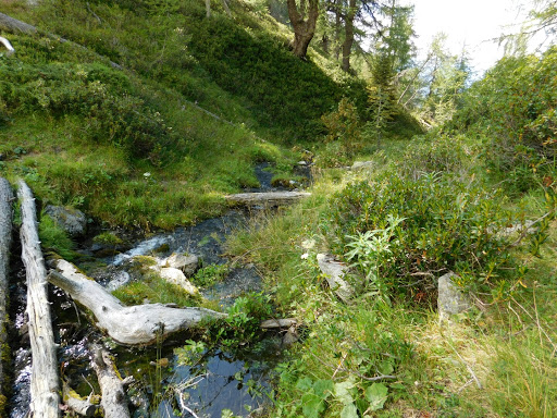 Parco Regionale delle Orobie Valtellinesi - Thumbnail