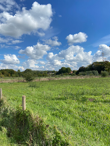 Plökpad - Visual