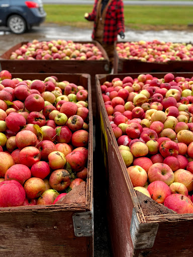 FieldBird Farm and Cider - Thumbnail