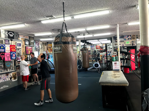 Wild Card Boxing - Thumbnail