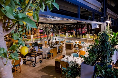 Photos of Trilye Restaurant