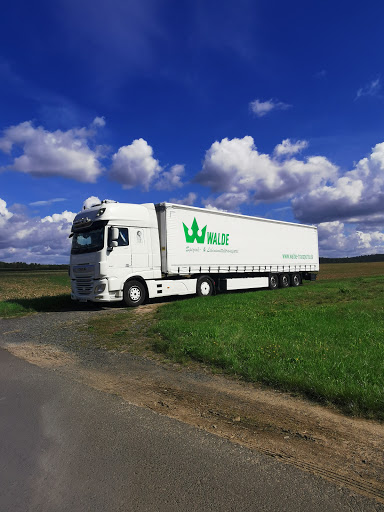 Walde Transporte - Visual