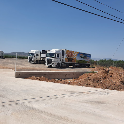 Transportes Ramas Orna SL. - Thumbnail