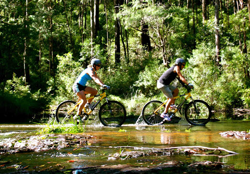 Byron Bay Adventure Tours