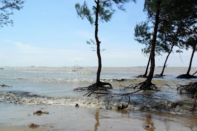 Photos of Ananda Bazar Beach