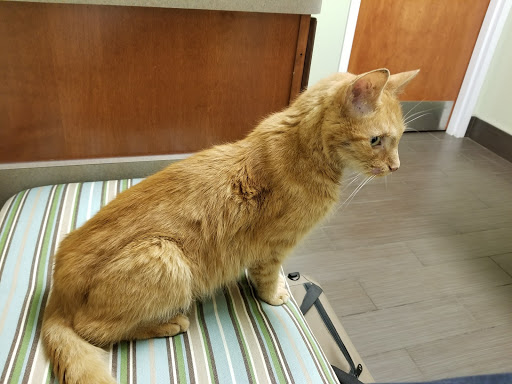 Charlestown Veterinary Hospital