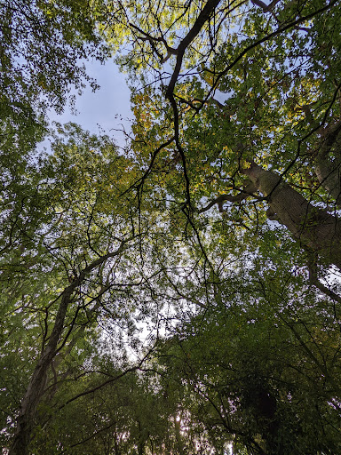 Wootton Pocket Park - Thumbnail