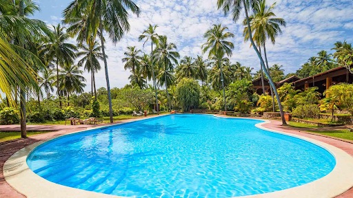 Photo de AC piscine paysagiste
