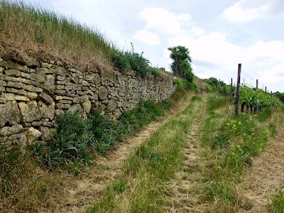 Photos of Weingut Gutssch&auml;nke Mengel-Eppelmann GdbR