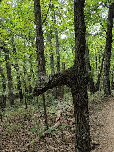 Liberty Mtn Trail System - Mike Donahue Trailhead