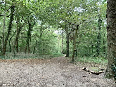 Bois du Val l'Abbé Av. du Val l'Abbé, 76800 Saint-Étienne-du-Rouvray, France