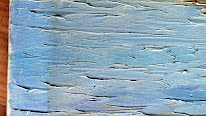 Labrat Art Painting à La Crau