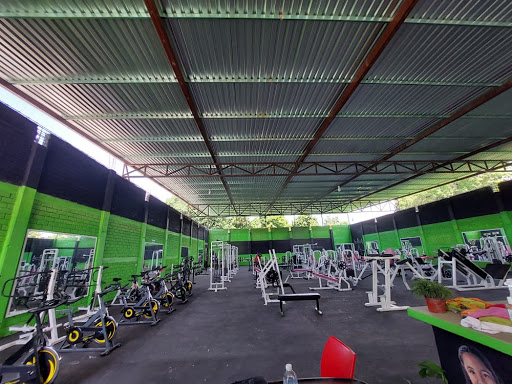 Gold Gym the Big Dog