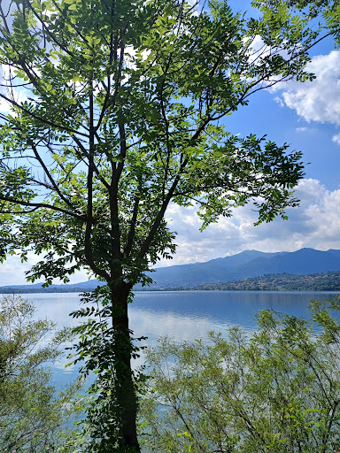 Lago di Bosisio Gallery - Italy