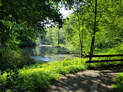 Gartentorteich - Thumbnail