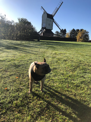 Mountnessing Windmill - Visual