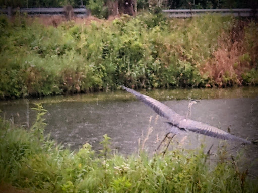 Hennepin Canal - Bridge 4 - Thumbnail