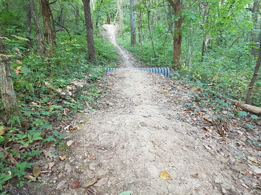 Landahl Mountain Bike Park Gallery - United States