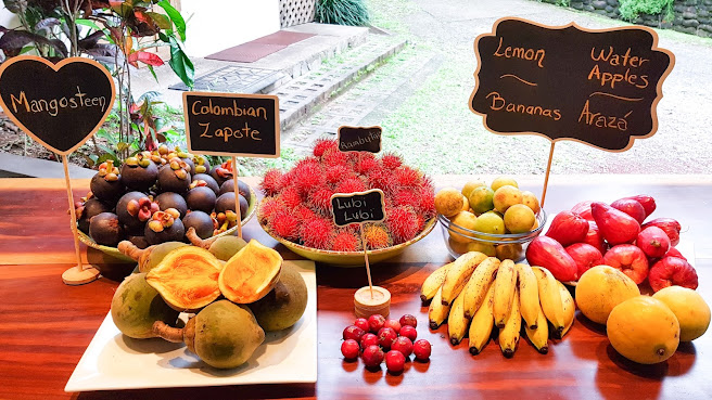 Finca Luna Nueva Lodge by null