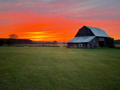 DeLyon Tree Farm 13410 Hawkins Rd, Hubbard Lake, MI 49747