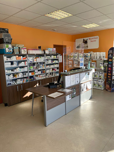 Cabinet Vétérinaire VPLUS de Saint Savin - La Rochelle
