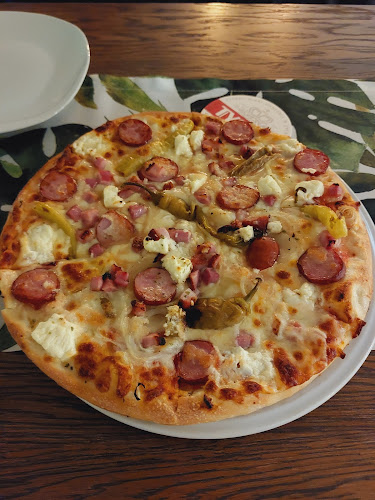 Comentarii opinii despre Zibi