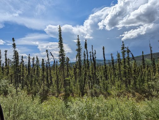 Dempster Highway Sign - Thumbnail