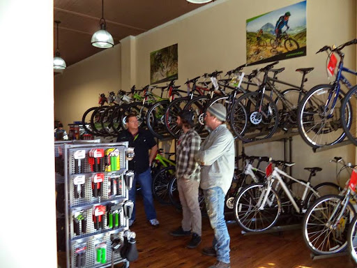 State Street Bicycles Gallery - United States