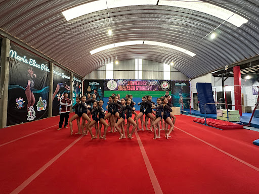 Arabesca Gymnastic’s - Thumbnail