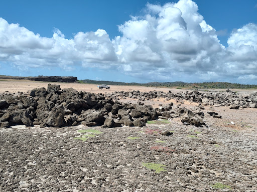 Blow Hole - Thumbnail