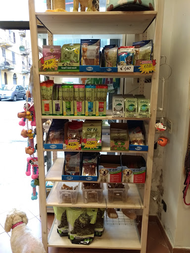 Casa Del Cane - Visual