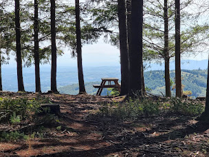 Photo n°36 de Cnaturel : spa, chambres d'hôtes, gîte à Dième (Spa)