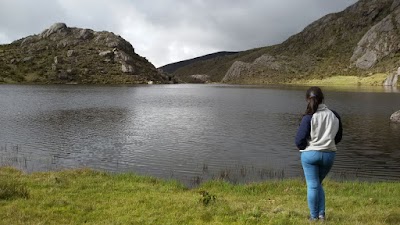 park