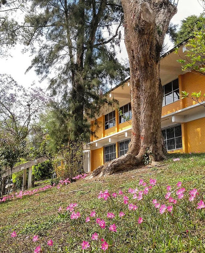 Facultad de Ingeniería Mecánica y Eléctrica - Xalapa U.V. - Thumbnail
