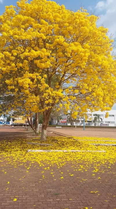 photo of Faculdade São Paulo