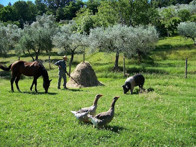 Fattoria Giorgetti