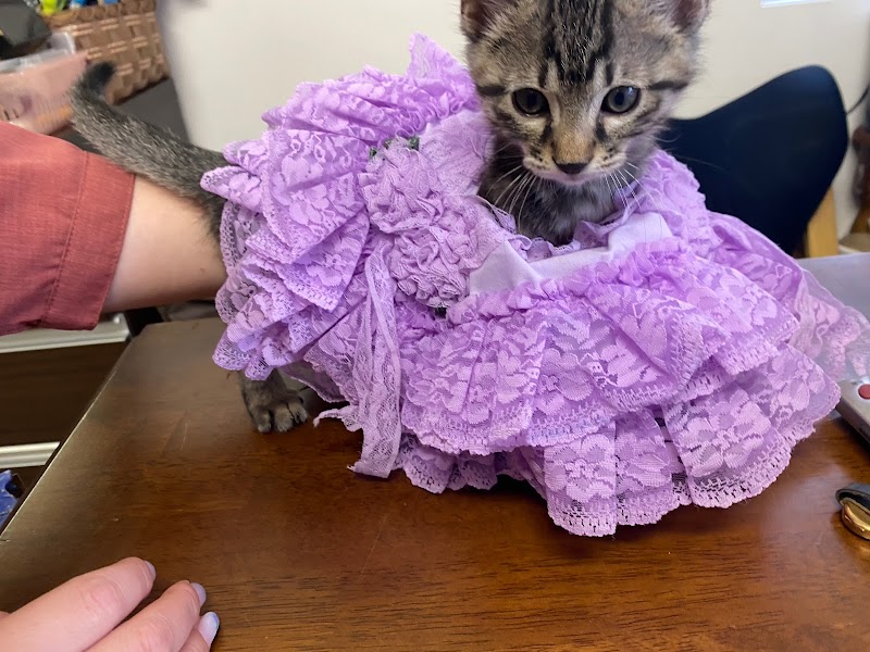 東見屋 はるみや