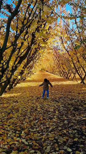 Jackson Orchards - Cromwell