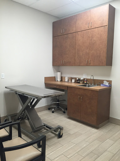 All Valley Pet Clinic at Federal Way, A Thrive Pet Healthcare Partner - Thumbnail