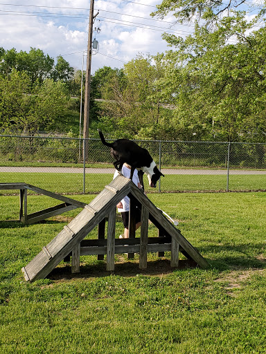 Fido Fields - Visual