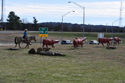 Cowboy Display